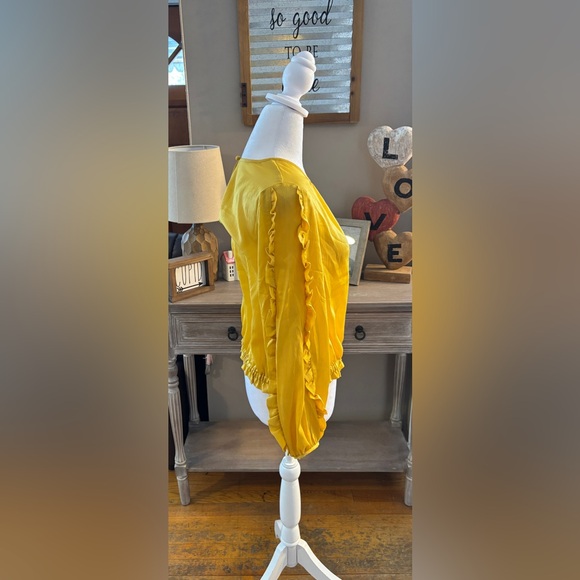 NWT Ann Taylor Ruffle Sleeve Cinched Hem Top - Picture 6 of 11